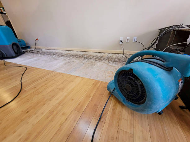 Professional Water Extraction technician working in Elfrida, AZ